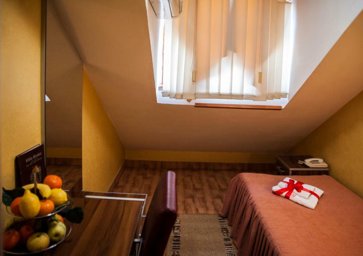 Guesthouse Villa Modex Paraćin Exteriér fotografie